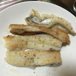 築港新町のタチウオ