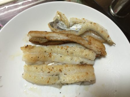 築港新町のタチウオ