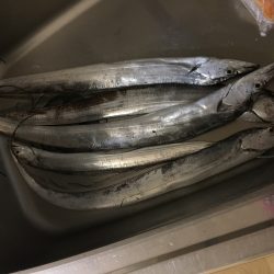 ドラゴン４ヒット