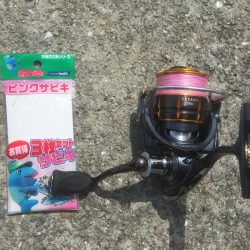 サビキでまさかの