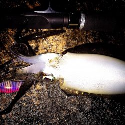 会社帰りに…ヽ(・∀・)ﾉ