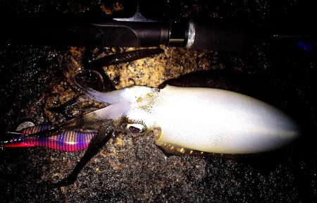 会社帰りに…ヽ(・∀・)ﾉ