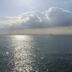 なんとかサゴシ