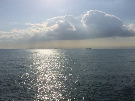 なんとかサゴシ