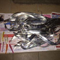 姫路タチウオ開幕