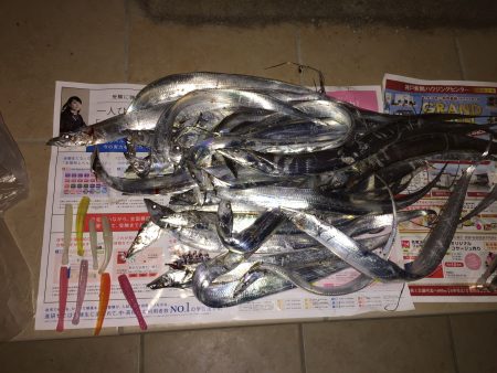 姫路タチウオ開幕