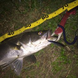 最後の一投で一本