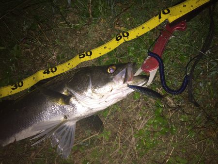 最後の一投で一本