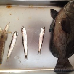 良い季節です。