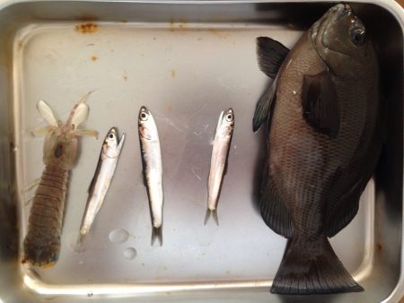 良い季節です。