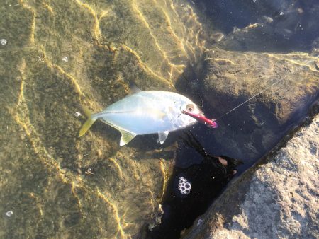 好調‼︎メッキゲーム！