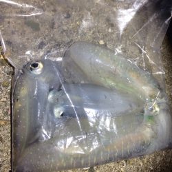 思ったより短時間で数が釣れました(^^)