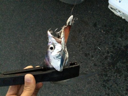 一瞬の出来事!!