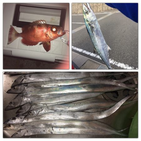 中紀・南紀遠征