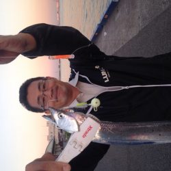 タチウオは裏切らない