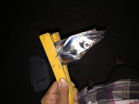 久々和歌山でのワインド