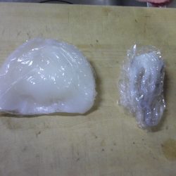 イカ、釣った！