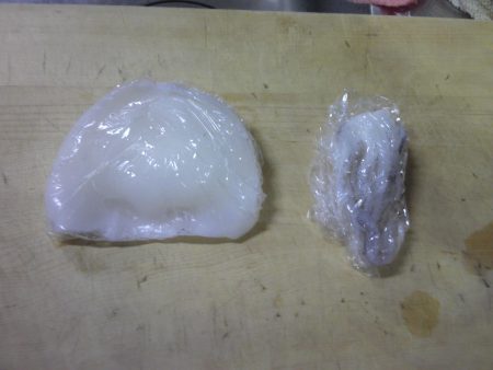 イカ、釣った！