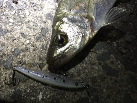 ポイント開拓！