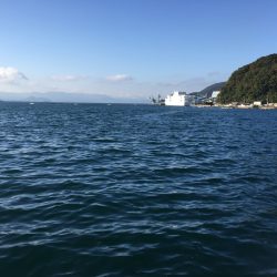 渋い１日でした