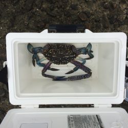 落ちギス探索➕おまけ笑