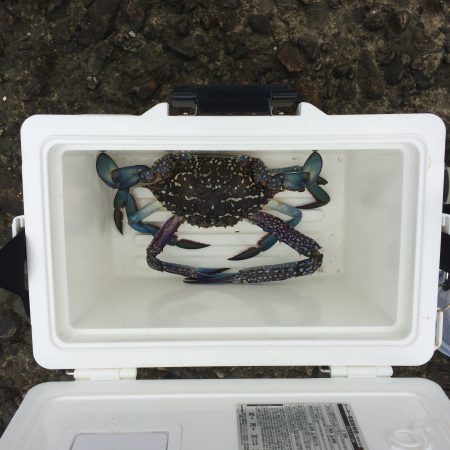 落ちギス探索➕おまけ笑