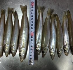 晴天はやっぱり釣りですよね