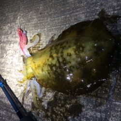 激流撃沈・・・