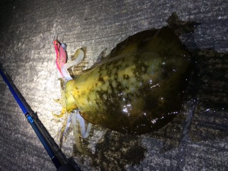 激流撃沈・・・