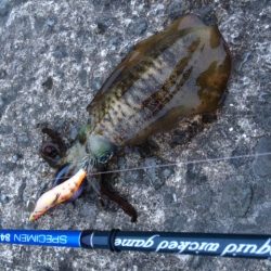 幸先が良い時は・・・