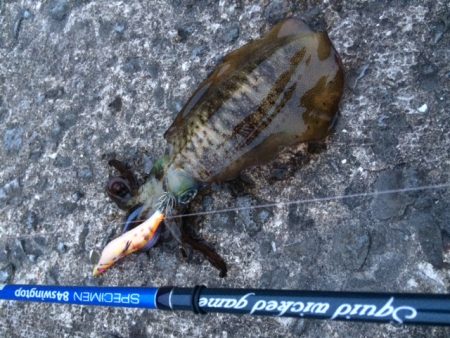 幸先が良い時は・・・