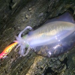 サイズアップ(^^♪