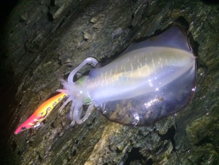 サイズアップ(^^♪