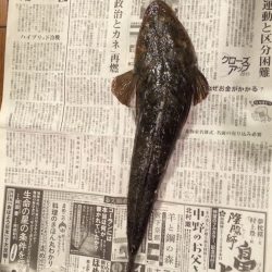 10/18 デイチニング