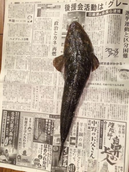 10/18 デイチニング