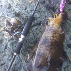 サイズアップ(^^♪