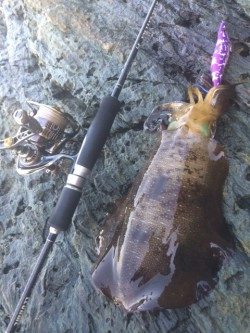 サイズアップ(^^♪