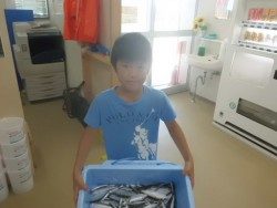 南港海釣り公園　サビキでイワシ・アジ・サッパ・サバ釣果