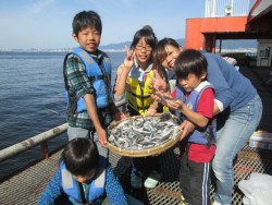 尼崎市立魚つり公園　イワシ100匹や200…