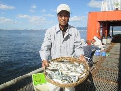 尼崎市立魚つり公園　サビキで色々釣れてます〜♪