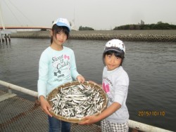 尼崎海釣り公園　サビキはイワシ中心の釣果