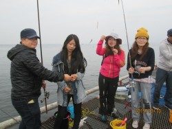 尼崎海釣り公園　サビキはイワシ中心の釣果