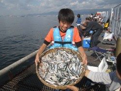 イワシ相変わらずの好釣　尼崎市立魚つり公園