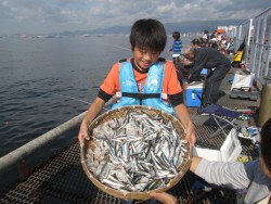 イワシ相変わらずの好釣　尼崎市立魚つり公園…