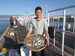 尼崎市立魚つり公園 イワシ合計5000匹