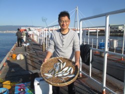 尼崎市立魚つり公園　イワシ合計5000匹