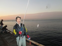 尼崎市立魚つり公園　まだまだサビキで数釣り…