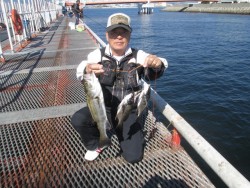 尼崎市立魚つり公園　釣れる魚種も増えてきま…