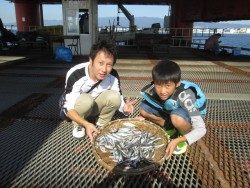尼崎海釣り公園　サビキでイワシ・サッパ・アジ・サヨリなど
