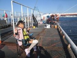 尼崎海釣り公園　サビキでイワシ・サッパ・アジ・サヨリなど